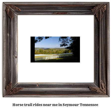 horse trail rides near me in Seymour, Tennessee